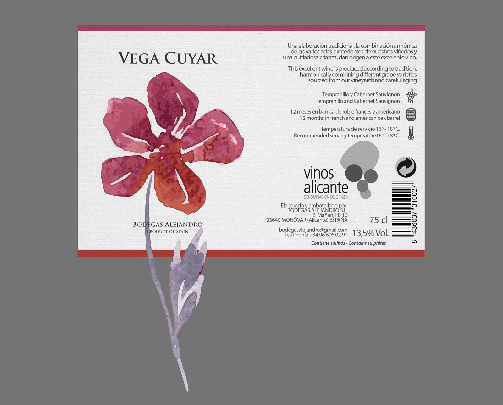 Portfolio of graphic and creative design works on wine labels and packaging for Spanish wine: VEGA CUYAR